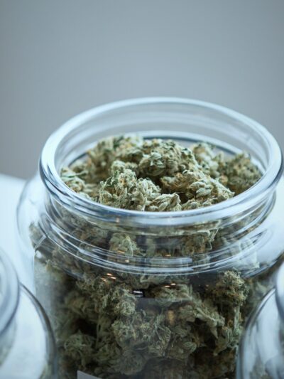 Dried marijuana in jars