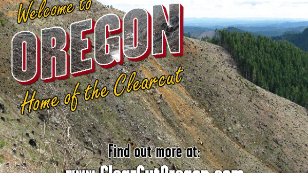 Oregon Wild clearcut billboard