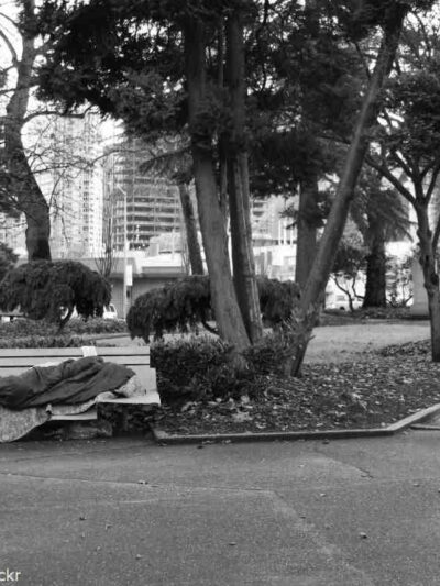 person on bench in a park