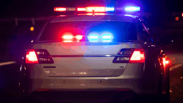 image of the back of a police car