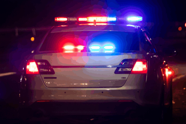 image of the back of a police car