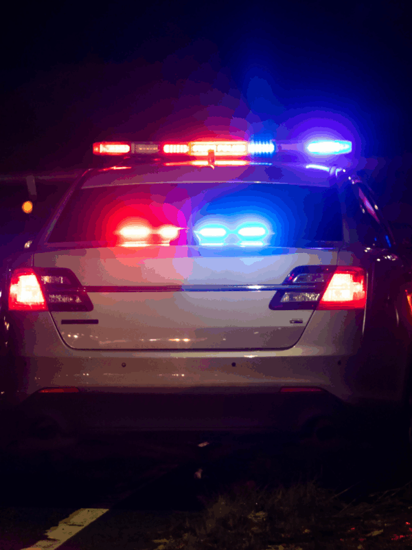 image of the back of a police car