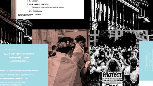 Protect Trans Youth - Bills and Protestors