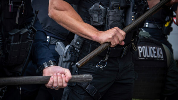 Two cops who are only visible from the chest to waist and are holding batons.