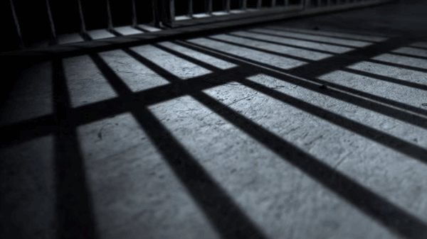 Picture of Jail Bar