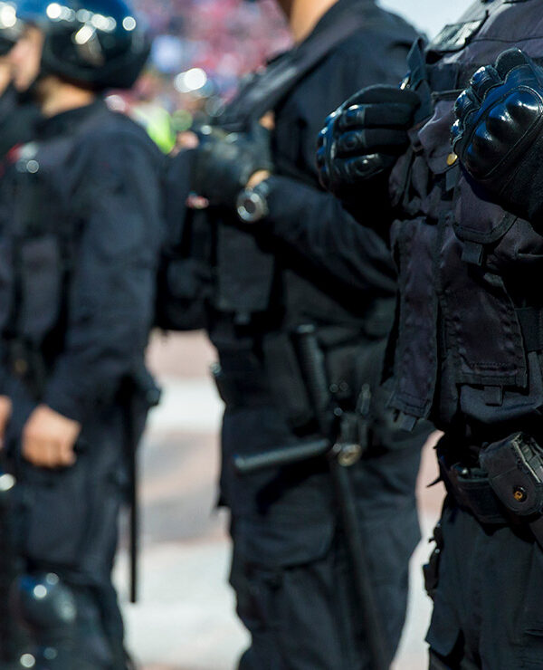 Special police unit at a stadium event.