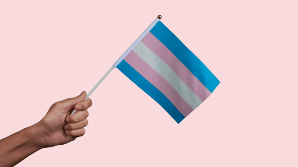 A hand holding a trans pride flag with a pink background
