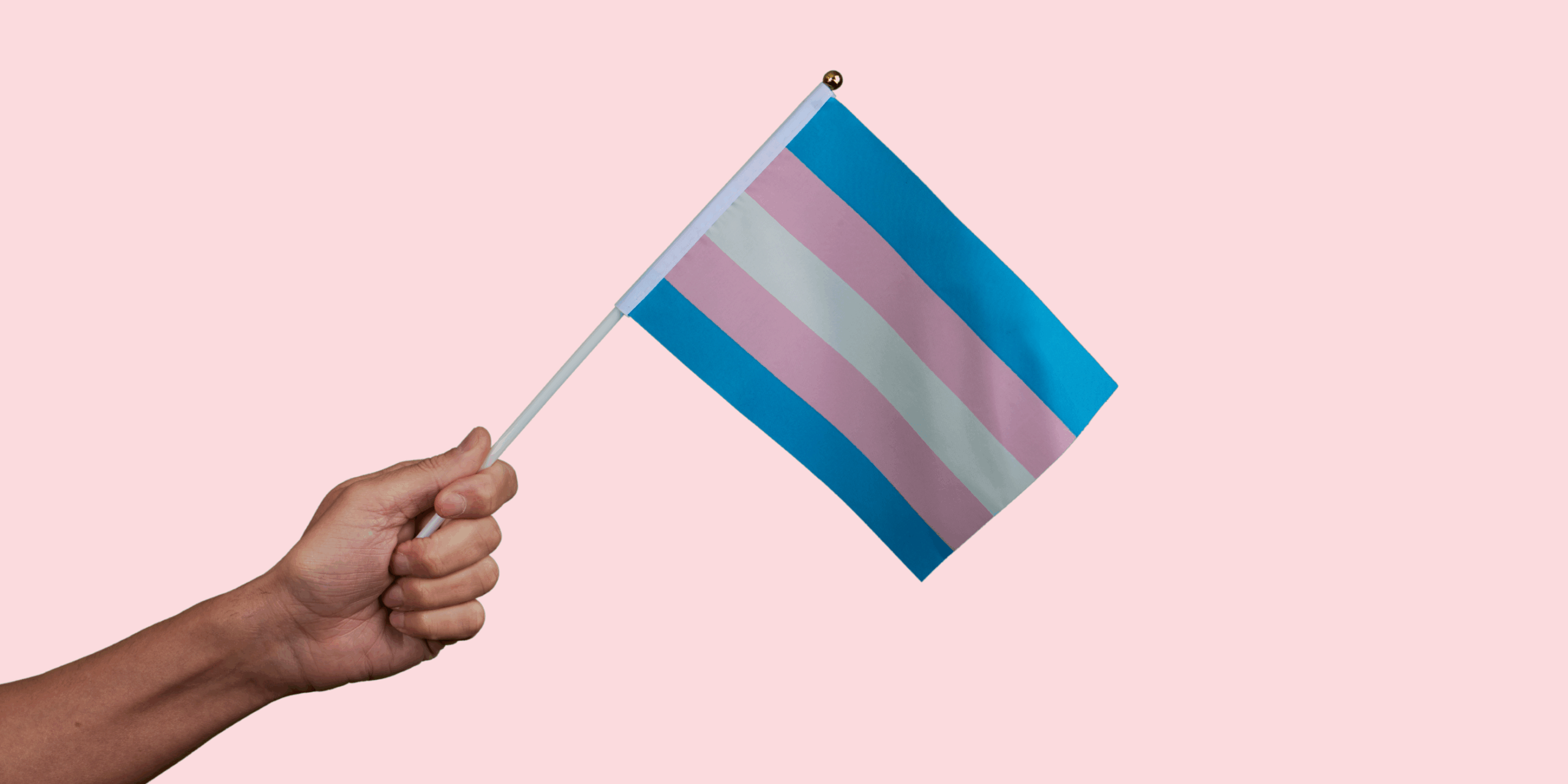 A hand holding a trans pride flag with a pink background