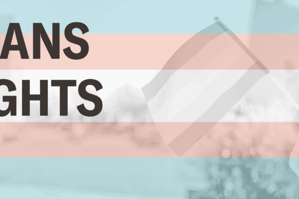 a hand holding a trans pride flag, with the pink blue and white stripes overlayed. Text reads "trans rights"