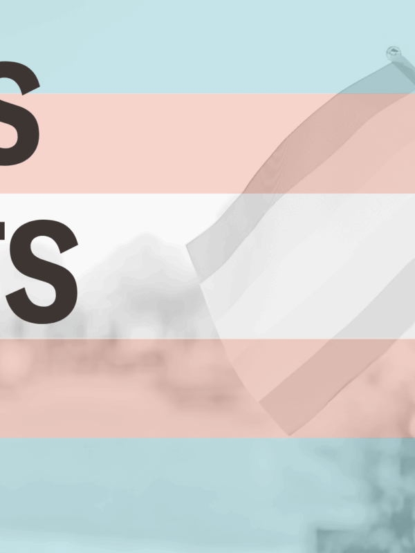 a hand holding a trans pride flag, with the pink blue and white stripes overlayed. Text reads "trans rights"