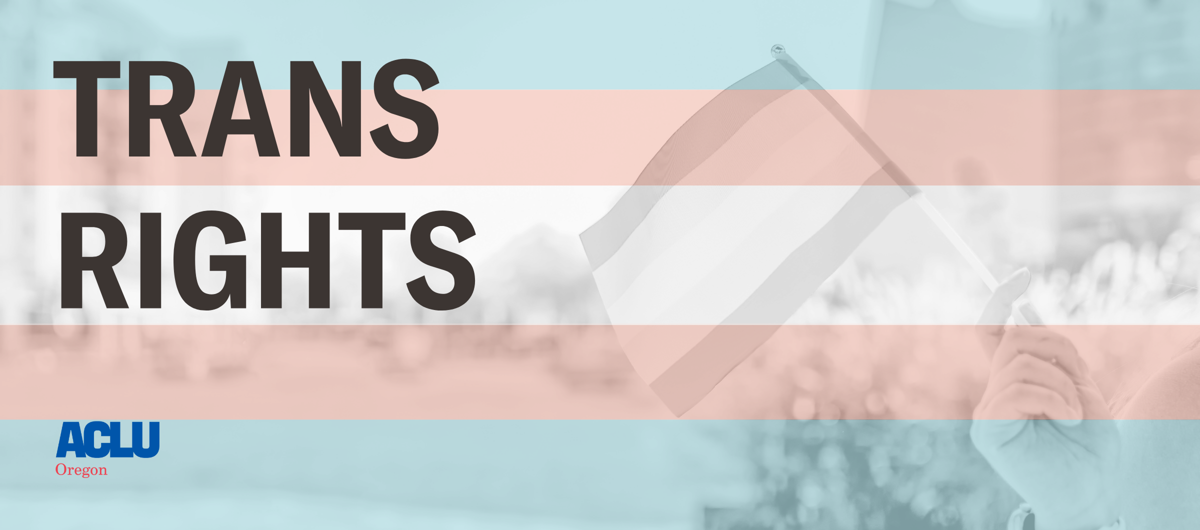 a hand holding a trans pride flag, with the pink blue and white stripes overlayed. Text reads "trans rights"