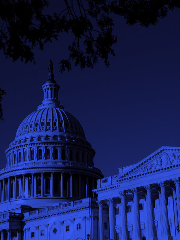 Capitol Building with blue overlay.
