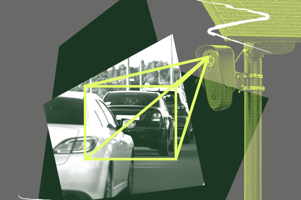 Flock surveillance imagery.
