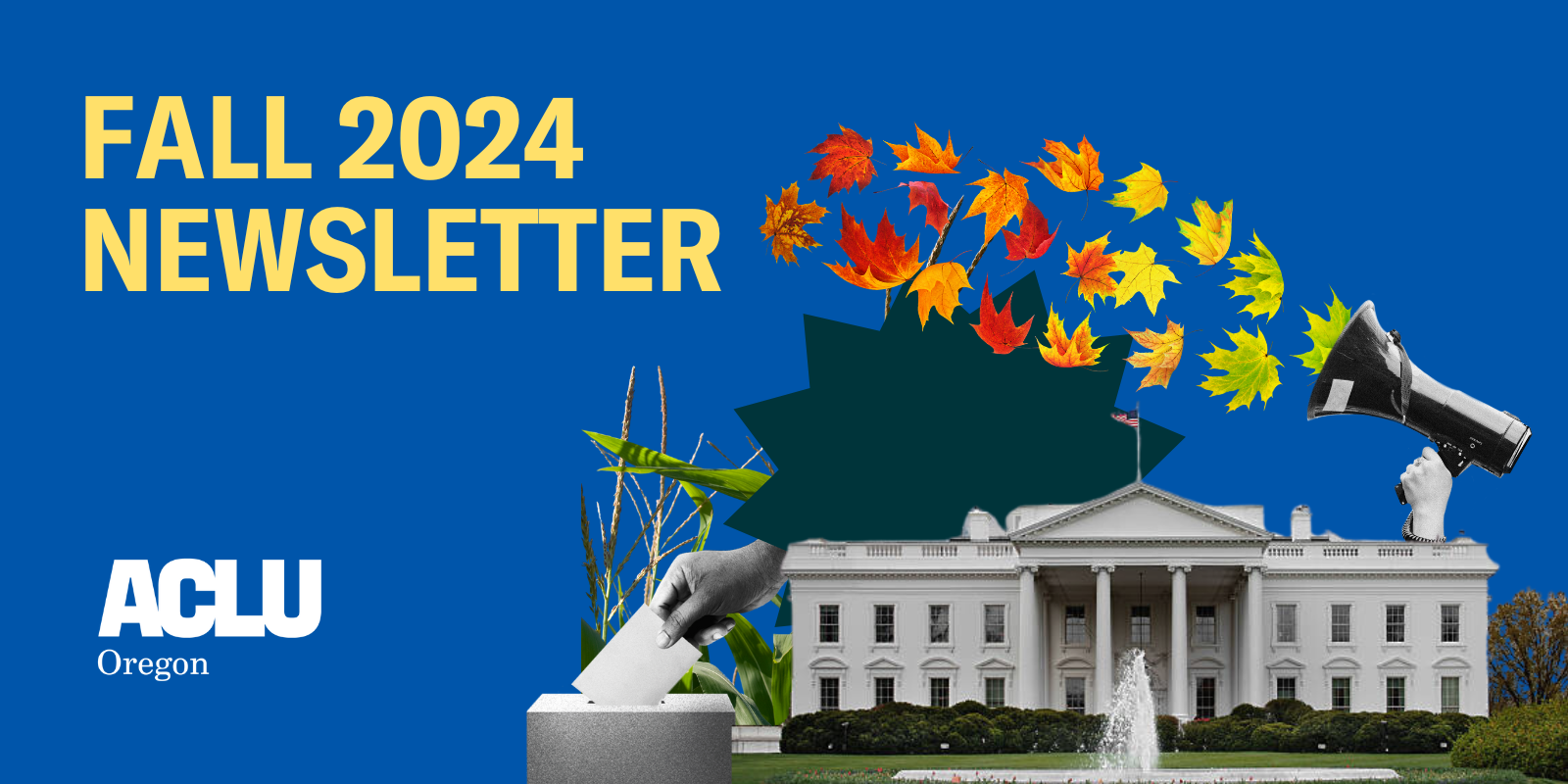 Fall 2024 Newsletter