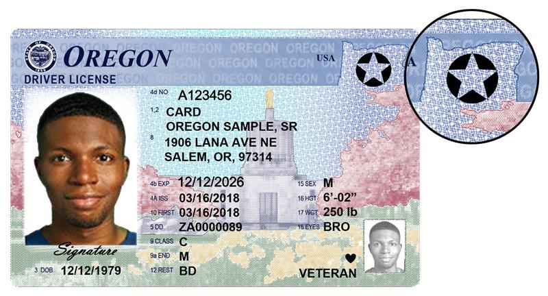 oregon driver's license example