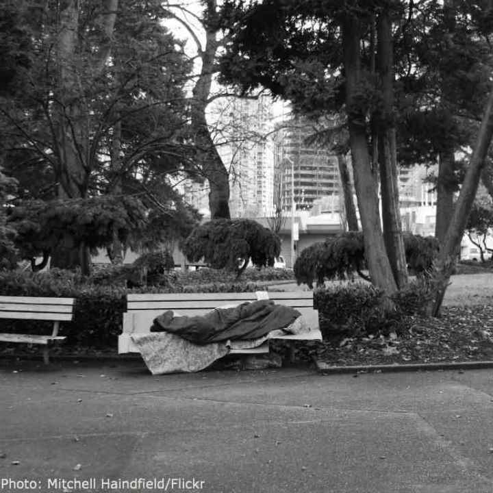person on bench in a park