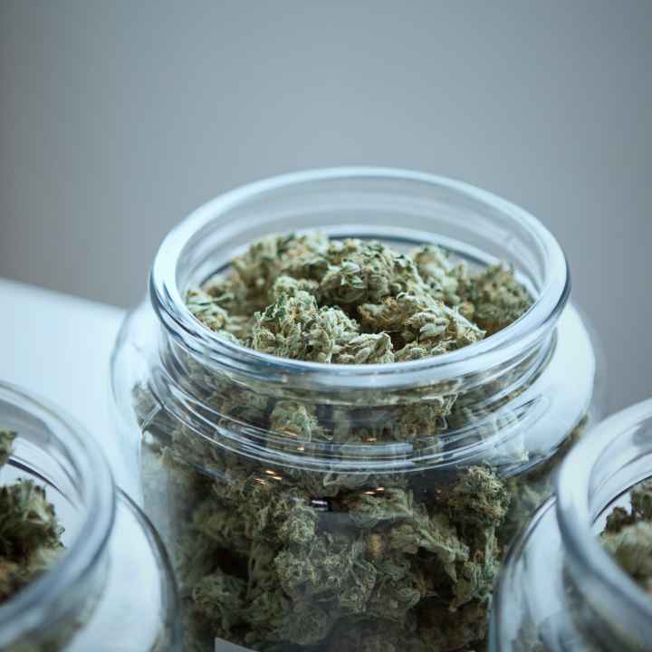 Photo by Get Budding Dried marijuana in jars