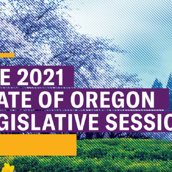 Legislative Session Report