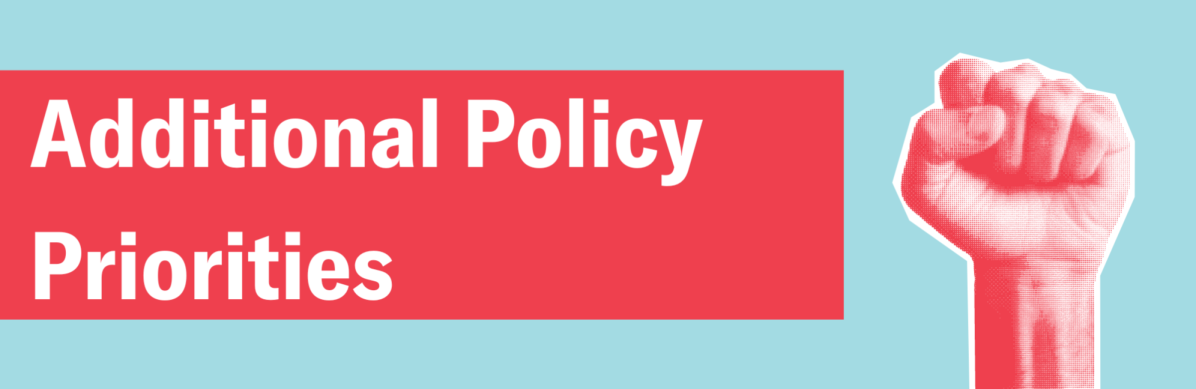Additional Policy Priorities