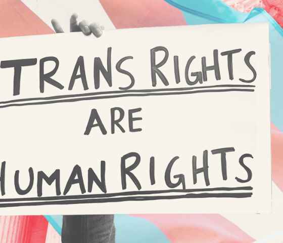 Styled graphic with hand holding sign that says "Trans Rights are Human Rights"